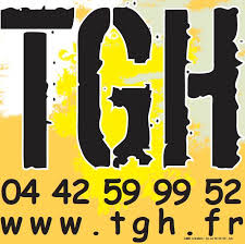 Réalisation de travaux en hauteur Eguilles TGH Travaux Grande Hauteur